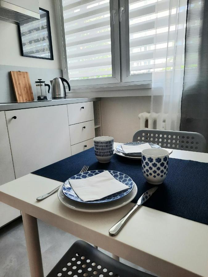 Appartamento Apartament W Centrum Wroclawia Esterno foto