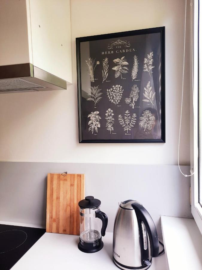 Appartamento Apartament W Centrum Wroclawia Esterno foto