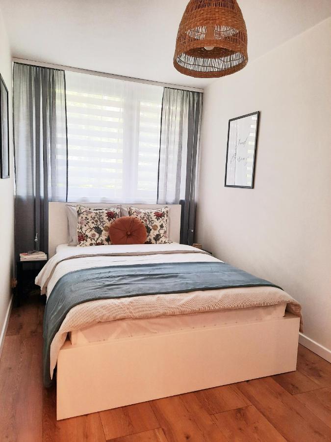Appartamento Apartament W Centrum Wroclawia Esterno foto
