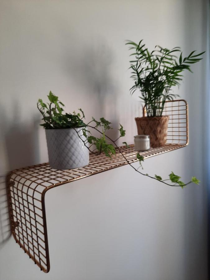 Appartamento Apartament W Centrum Wroclawia Esterno foto