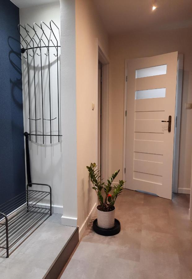 Appartamento Apartament W Centrum Wroclawia Esterno foto